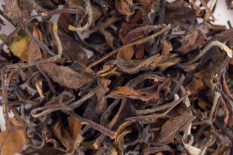 Buy, white tea Show Mei (Elder's Eyebrows)