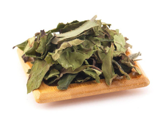 Buy, white tea Chun Gong (Spring Gift or Spring Offering) | 白茶