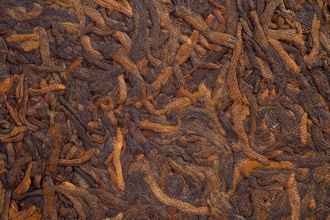 Pressed Rip Pu-erh Tea - Шу пуэр 2012 г. «Веха» марки «Бацзяотин» завода «Лимин» блин 357 г, 