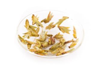 Buy, white tea Чае ябао 2019 г. (Чайные почки с пуэрных деревьев)