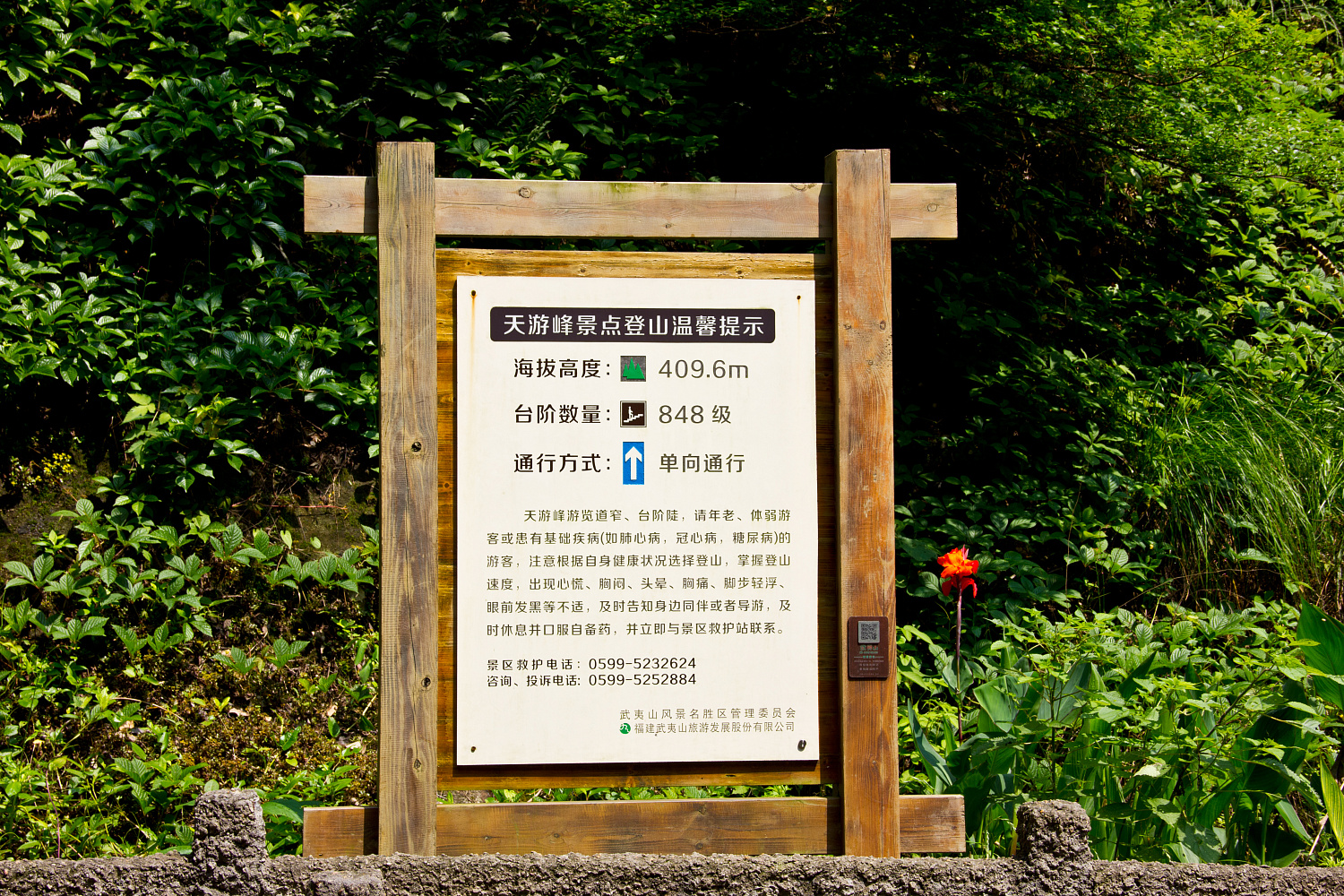 Tea region of the Wuyi Mountains