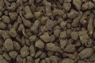 RT-446., RT-446, RT-446,Lan Gui Ren (Emperor's Concubine)