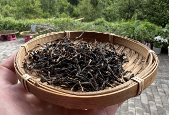 Red tea Shaikhong from the Imperial Garden (Red tea from the puer trees of the Kunlu Mountains)