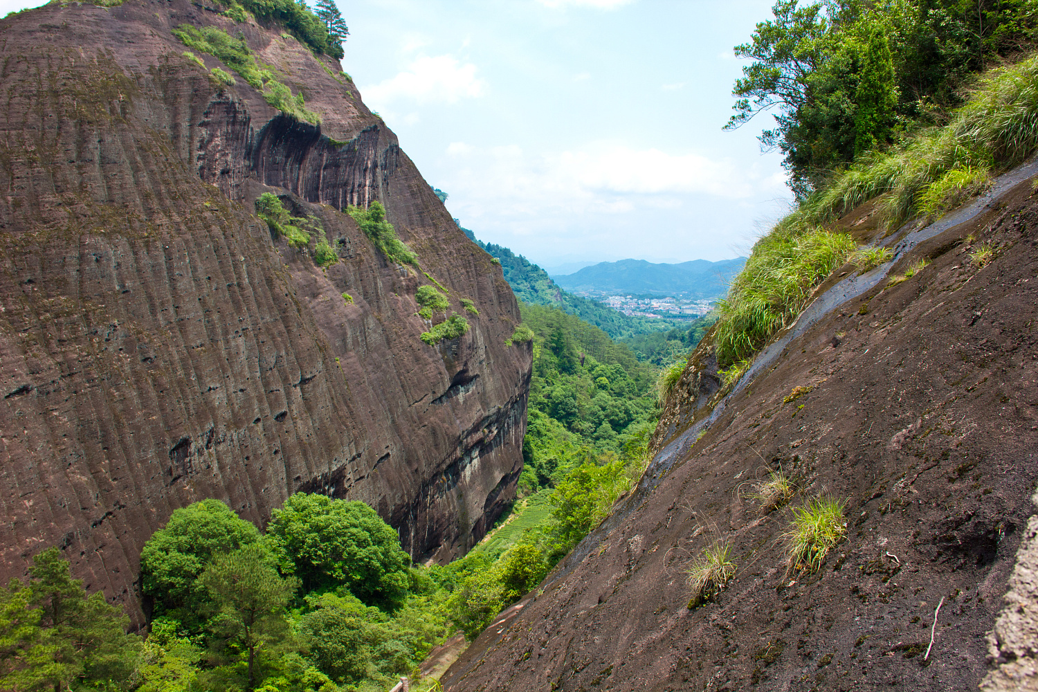 Tea region of the Wuyi Mountains