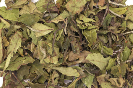 Buy, white tea Chun Gong (Spring Gift or Spring Offering)