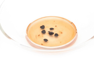 Pu-erh Tea Resin (Cha Gao) - Смола шу пуэра в гранулах (чайная паста), 