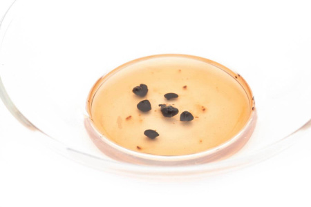 Pu-erh Tea Resin (Cha Gao) - Смола шу пуэра в гранулах (чайная паста), 