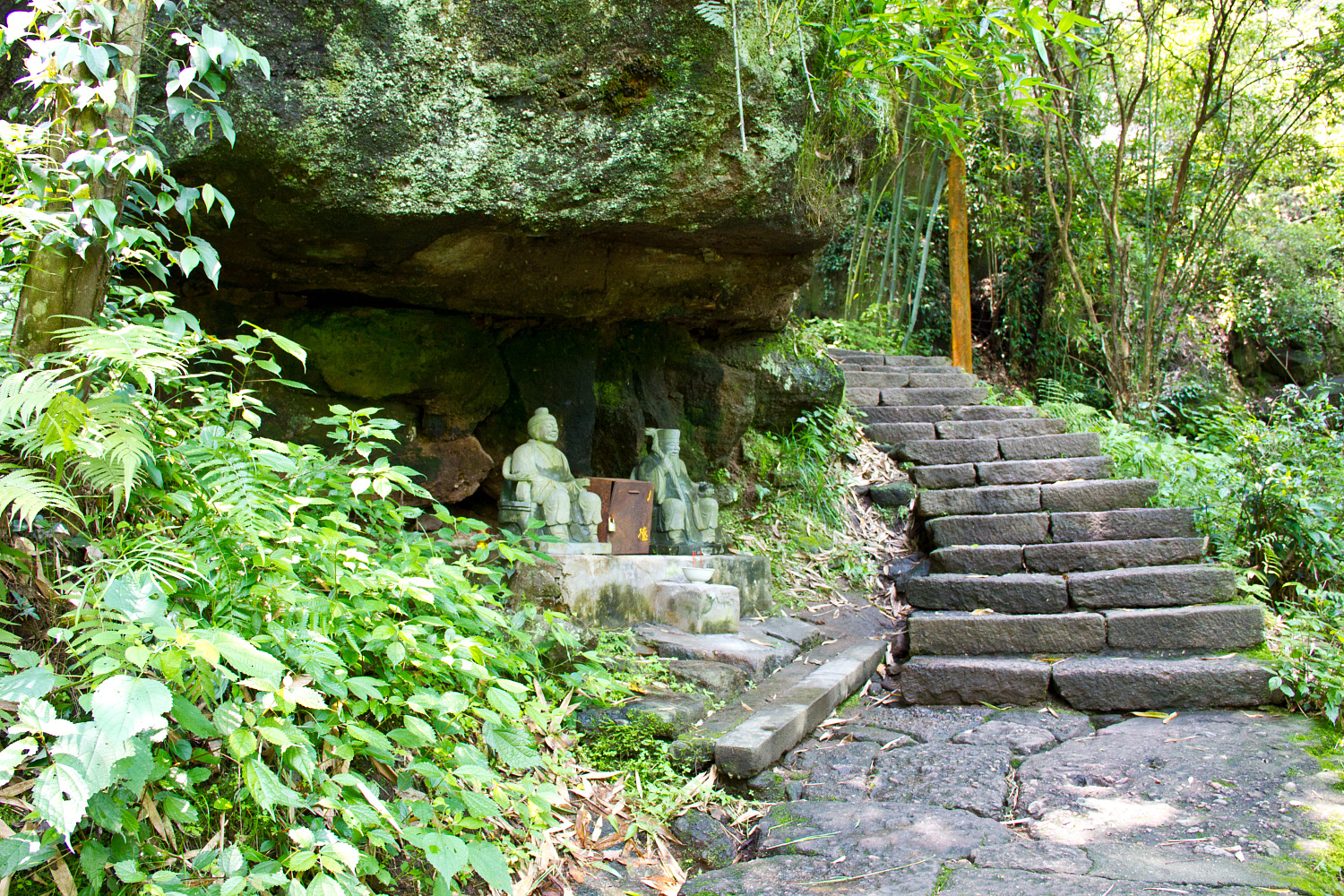 Tea region of the Wuyi Mountains