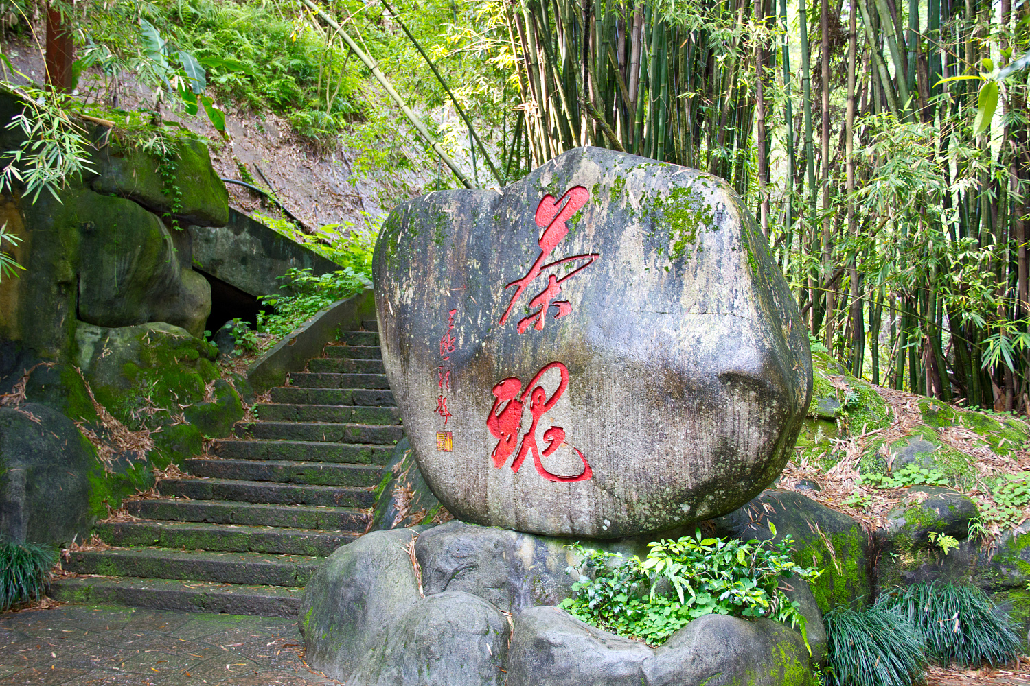 Tea region of the Wuyi Mountains