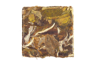 Buy, white tea Хуасян мудань (Цветочный аромат пиона)