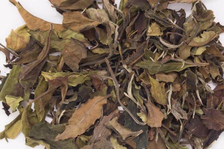 Buy, white tea 2021 White Tea from Daezhong Pu'er Trees in Yiwu