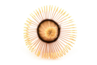 Chasen (matcha whisk) "Precise". Price: ₽1,670 rub.