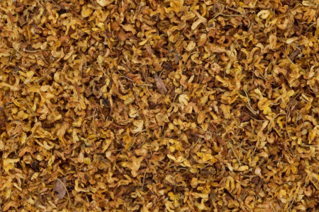 Fragrant osmanthus (guihua)|Flowers of plants