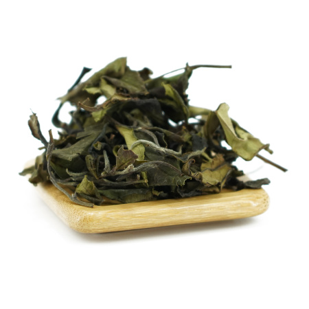 Buy, white tea Sochi White Tea