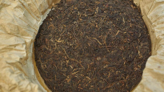 Pressed Raw Pu-erh Tea - Шэн пуэр 1999 года с диких старых деревьев марки «Сад дракона» 400 г, 
