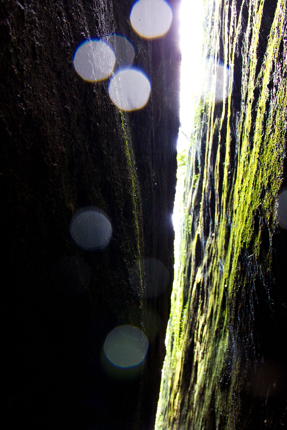 Tea region of the Wuyi Mountains