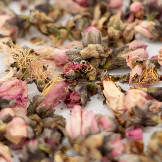 Peach blossoms (taohua)|Flowers of plants