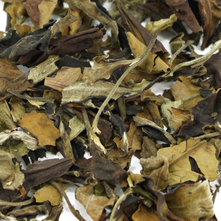 Buy, white tea Mengsun Bai Cha (White tea from the pu-erh trees of the Mengsun Mountains)