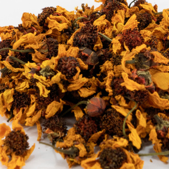 Snow Chrysanthemum Flowers (Xue Ju)|Flowers of plants