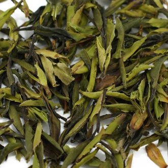 Buy, white tea Ya bao gushu ye sheng cha (Tea buds from ancient wild trees)