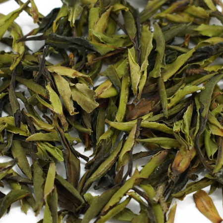 Buy, white tea Ya bao gushu ye sheng cha (Tea buds from ancient wild trees)