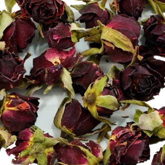 Red Chinese rose buds|Flowers of plants