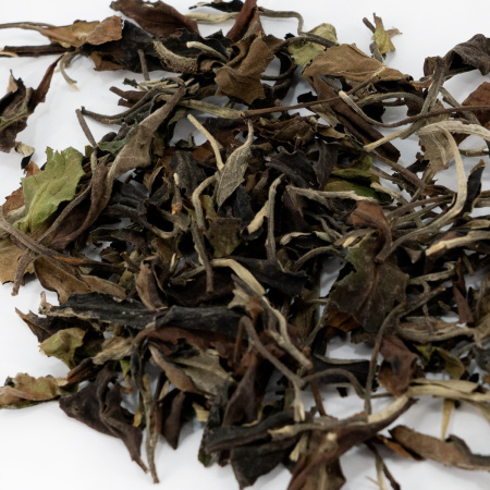 Buy, white tea Jingmai Gushu Bai Cha (White tea from ancient pu-erh trees of the Jingmai Mountains)