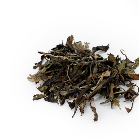 Buy, white tea Jingmai Gushu Bai Cha (White tea from ancient pu-erh trees of the Jingmai Mountains)