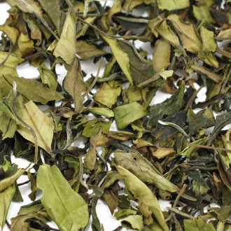 Buy, white tea Sochi White Tea