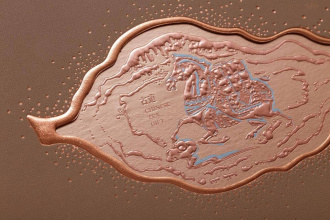 Gift wrapping for pancake "Pressed white tea". Price: ₽3,350 rub.