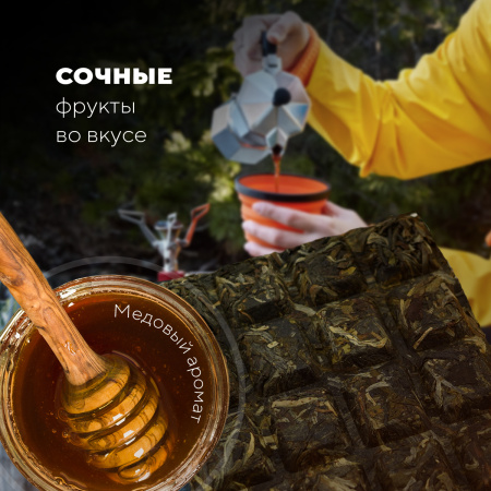 Pressed Raw Pu-erh Tea - Sheng pu-erh Travel tea "Raw pu-erh tea", 70 g, 