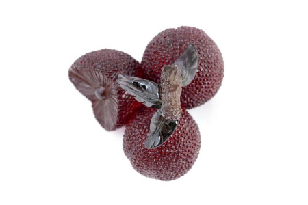 Чайная фигурка меняющая цвет "Ямбери Восковница красная". Price: ₽1,580 rub.