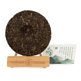 Pressed Raw Pu-erh Tea - Шэн пуэр 2024 года "Весенний урожай с больших деревьев" марки "Сягуань" 357 г, 